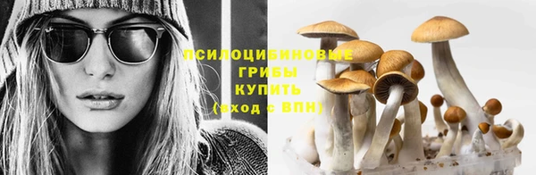 дживик Белоозёрский