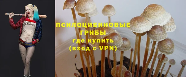 дживик Белоозёрский