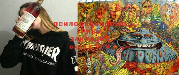 MDMA Белокуриха