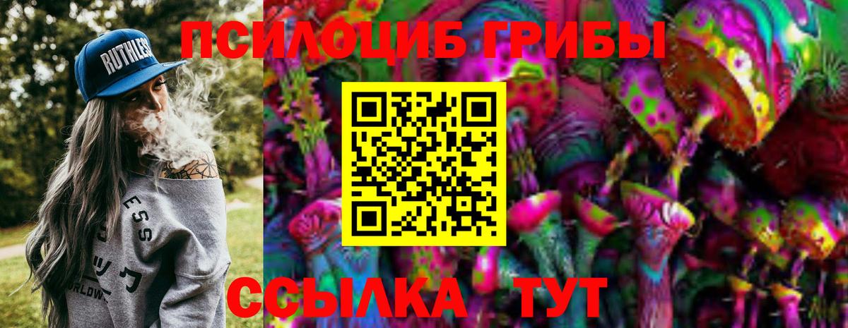 Гулькевичи  Галлюциногенные грибы Psilocybine cubensis  Вход с VPN 